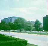 Purdue university